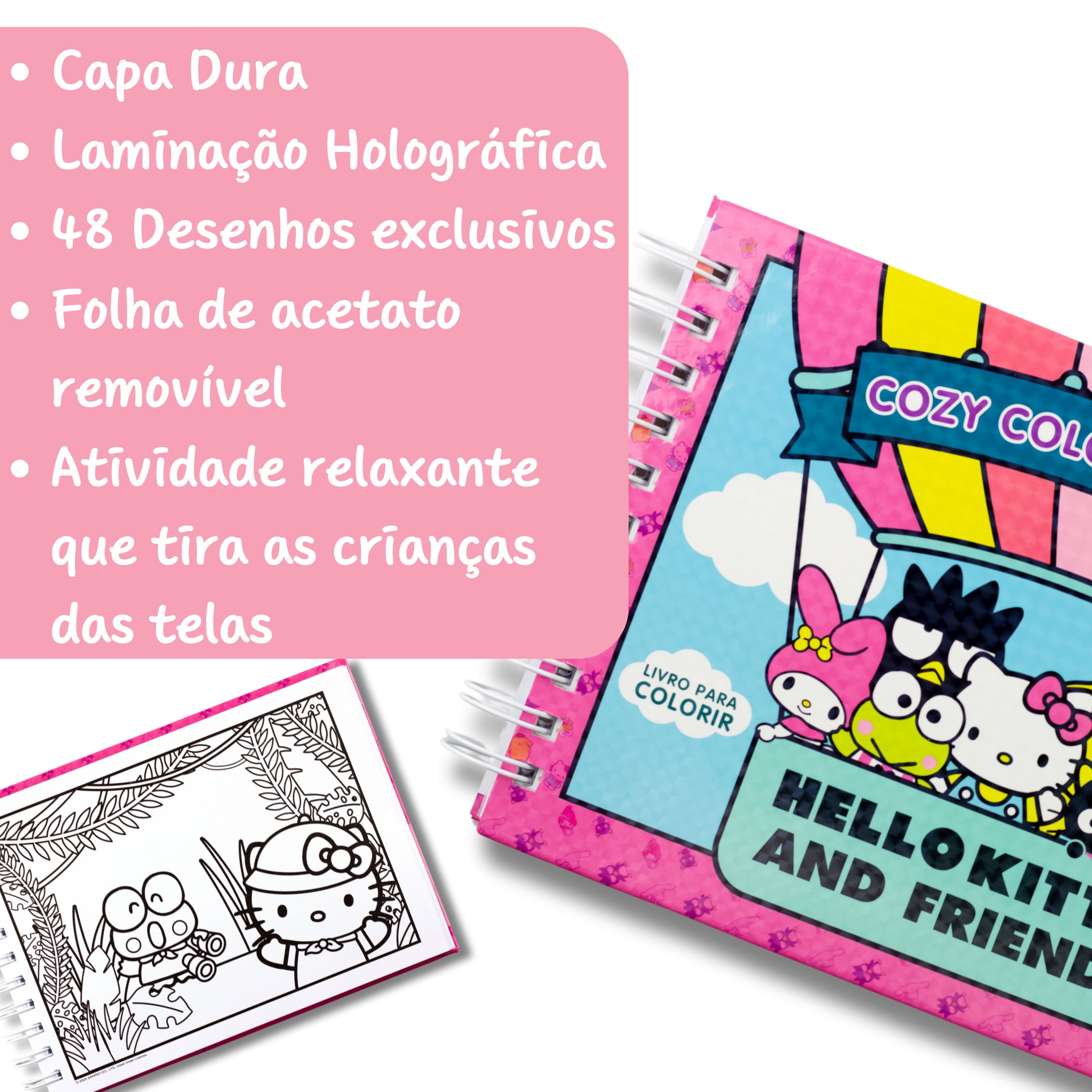 Livro de Colorir Hello Kitty Capa Dura Holográfica Folha 180g Estilo ...