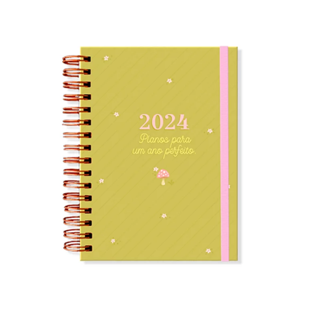 Agenda Planner Harry Potter 2024 - Papel Picado - Papelaria, presentes,  Scrapbook, decoração e muito mais