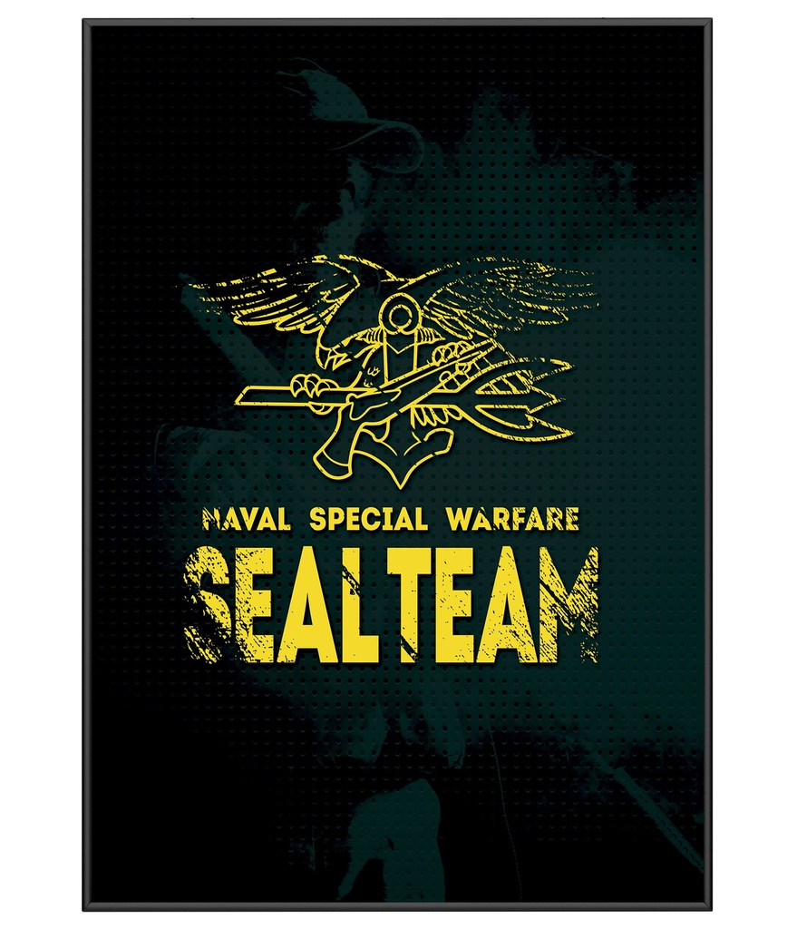 Poster Navy Seals Special Warfare Tático Militar TeamSix Brasil