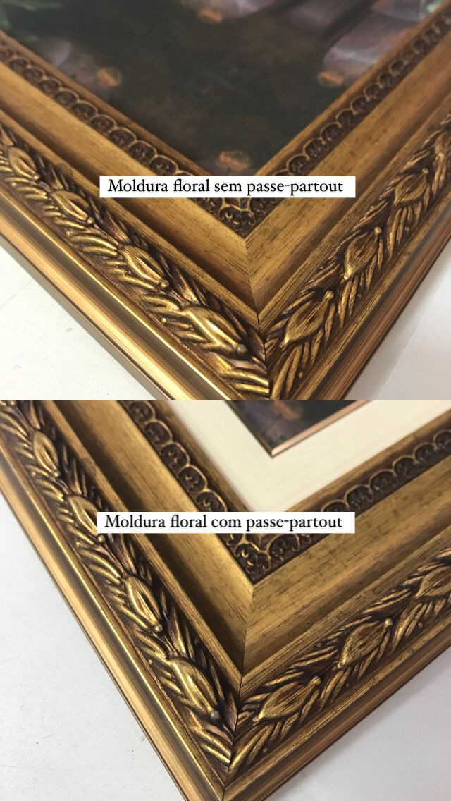 Retrato de Vespucci Seráfica