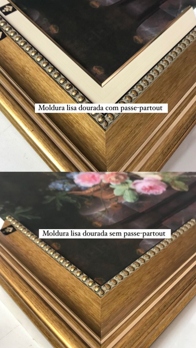 Retrato de Vespucci Seráfica