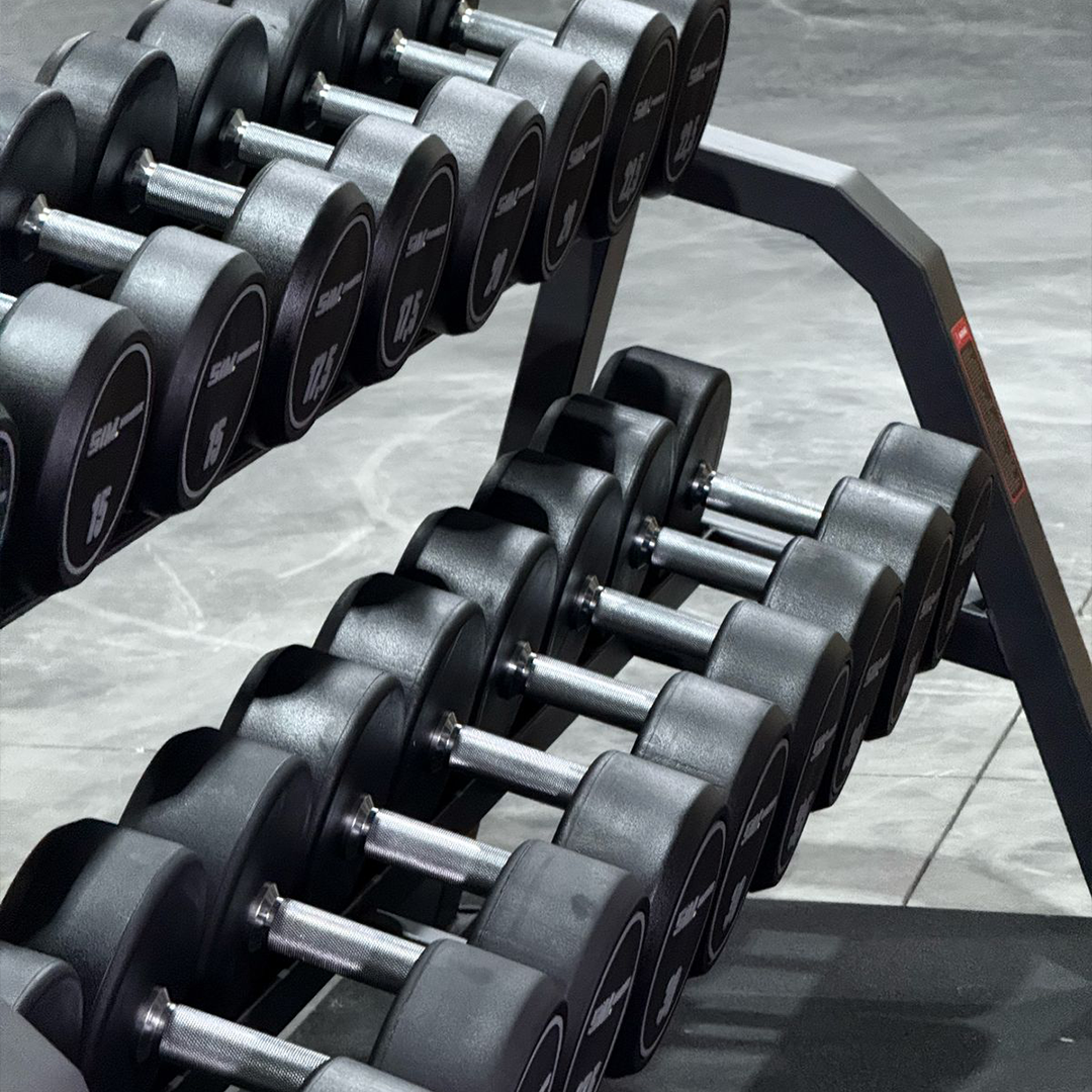 PREMIUM DUMBBELLS - SIM FITNESS - Sim Fitness