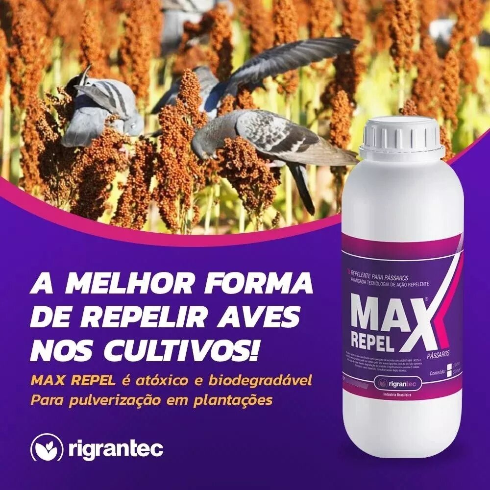 Áreas de Aplicação