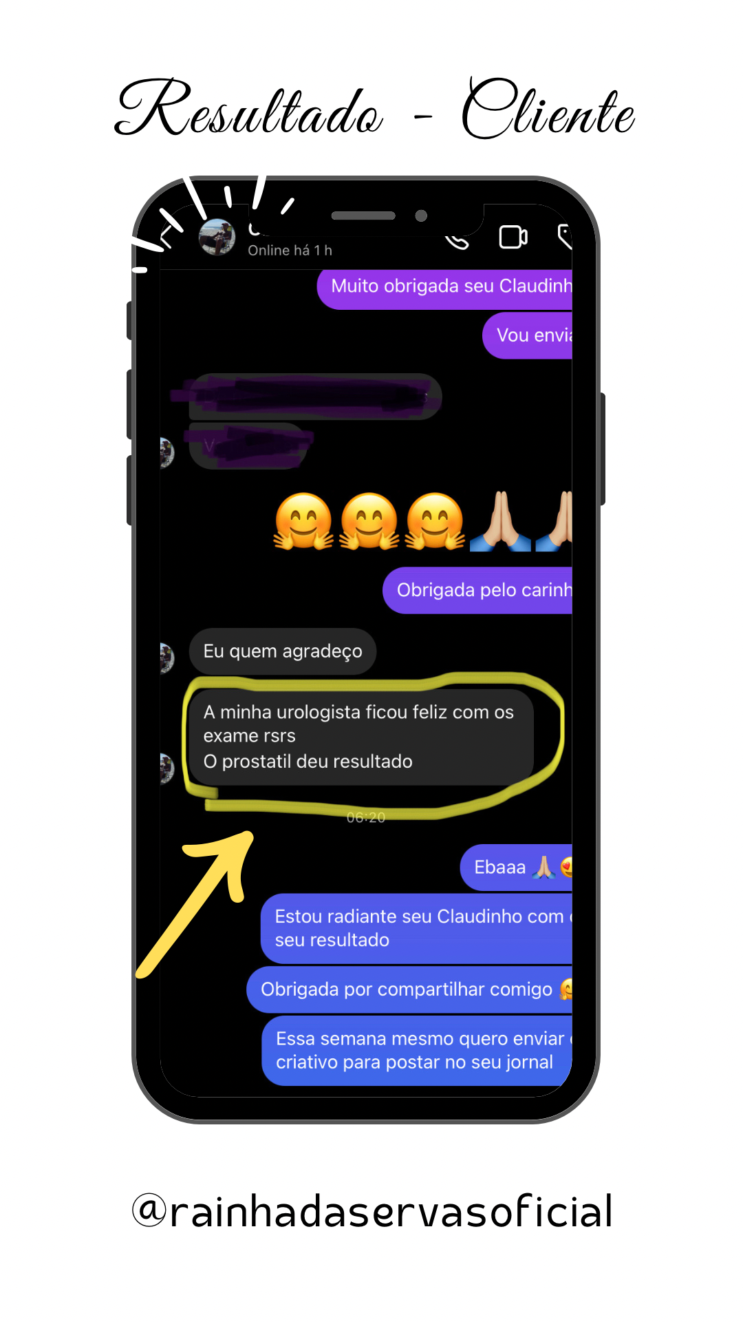 Composto de Ervas Prostatil 500mg 60 cápsulas NS Produtos Naturais ...