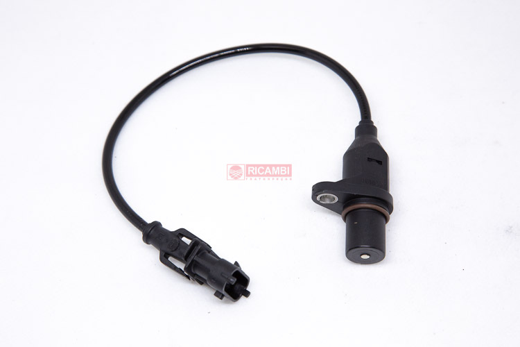 Set Abbigliamento Sportivo Donna July's Song - 5 Pezzi, Per Yoga E Fitness - Foto 6