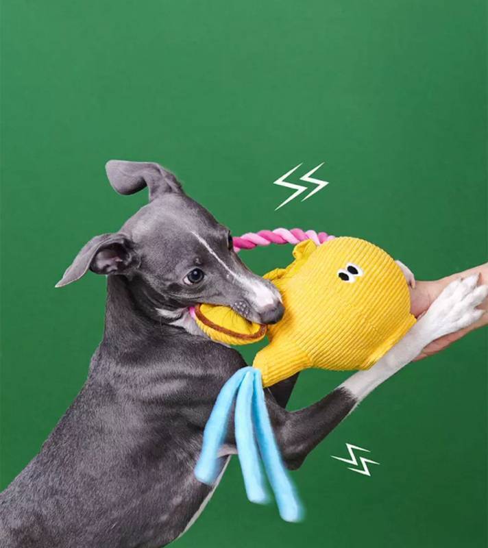 Bule de Chá Interativo | Brinquedo Pelúcia para Cães Petta - Fandog ...