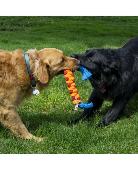 KONG Rope Rally Stick M | Brinquedo Interativo de Puxar para Cães ...