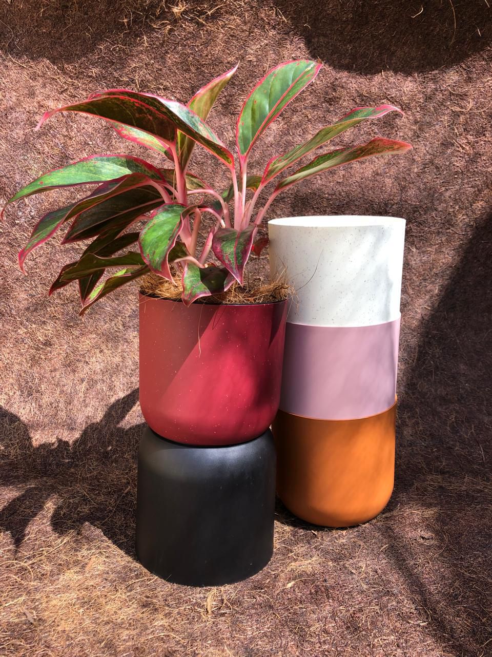 Cachepo N 2 - Coleção Due da Raiz - 12x11cm - Várias Cores - Verde