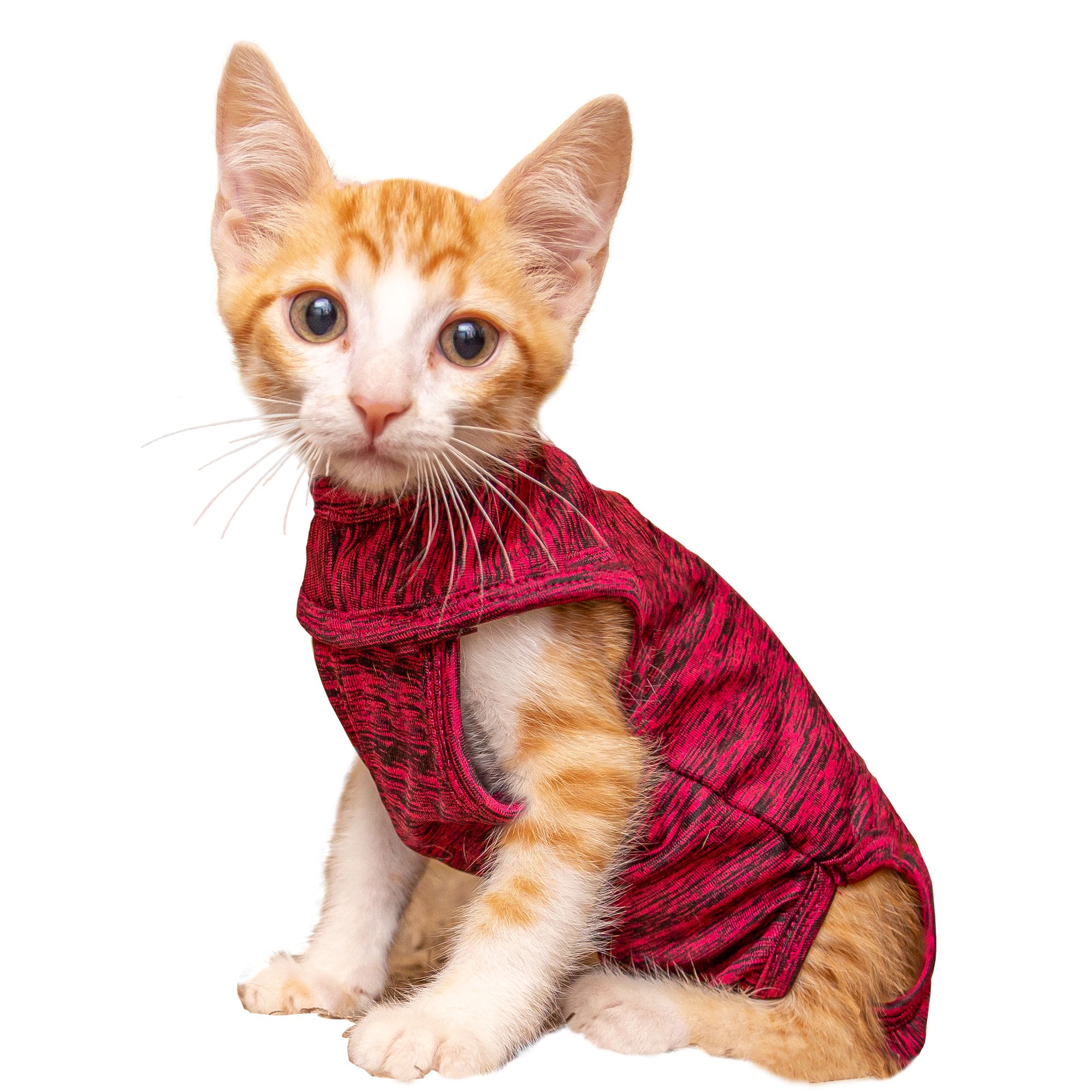 Roupa Pós Cirúrgica para Gatos - Pet Designer