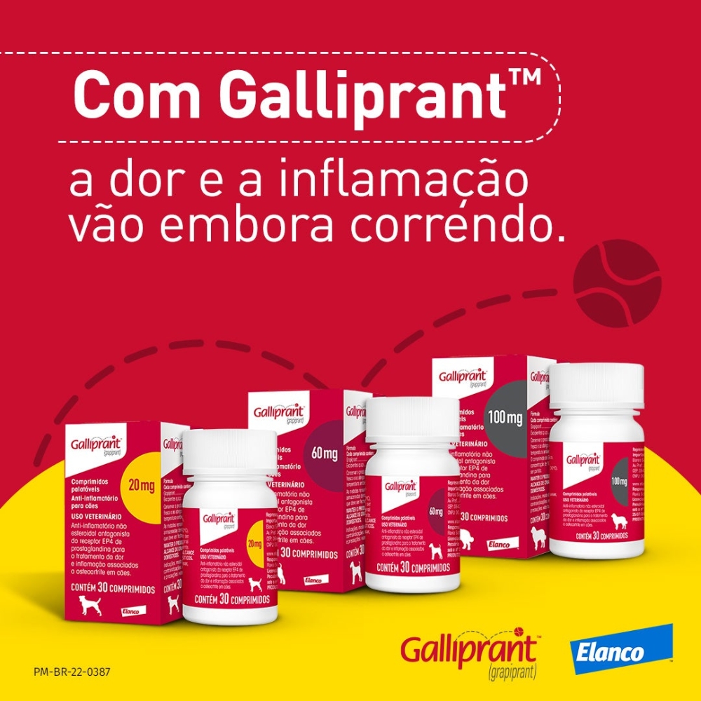 GALLIPRANT 20MG C/ 7TAB - Empire Pet