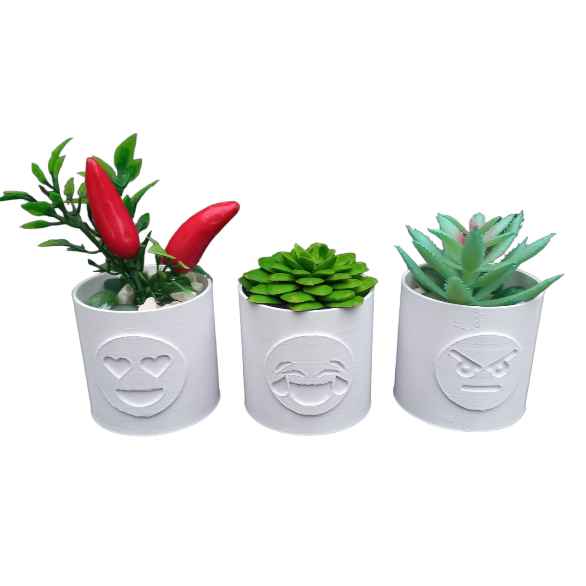 Vaso Emoji para Suculentas e Cactos