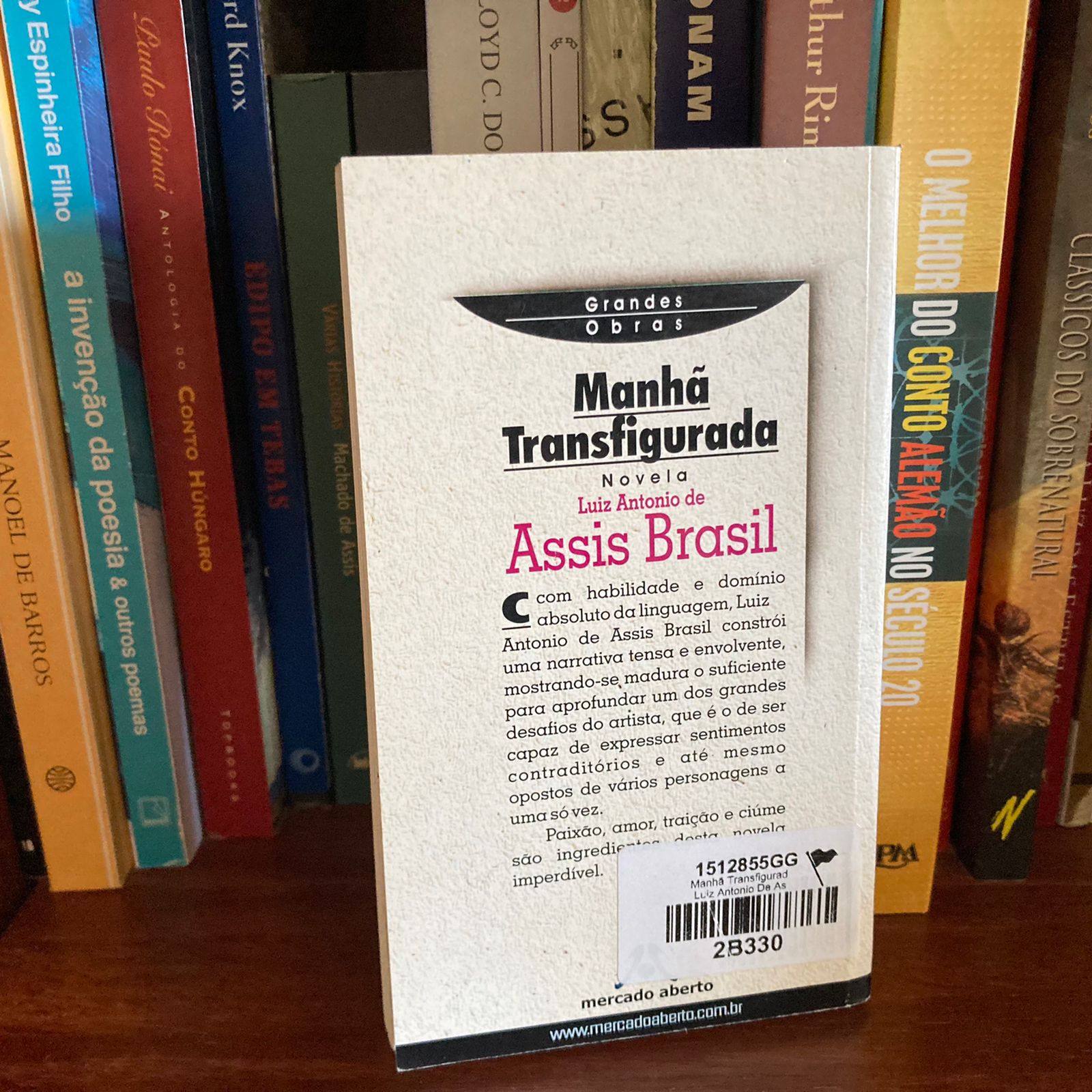 Livro: Manhã transfigurada, de Luiz Antônio de Assis Brasil - Usado ...