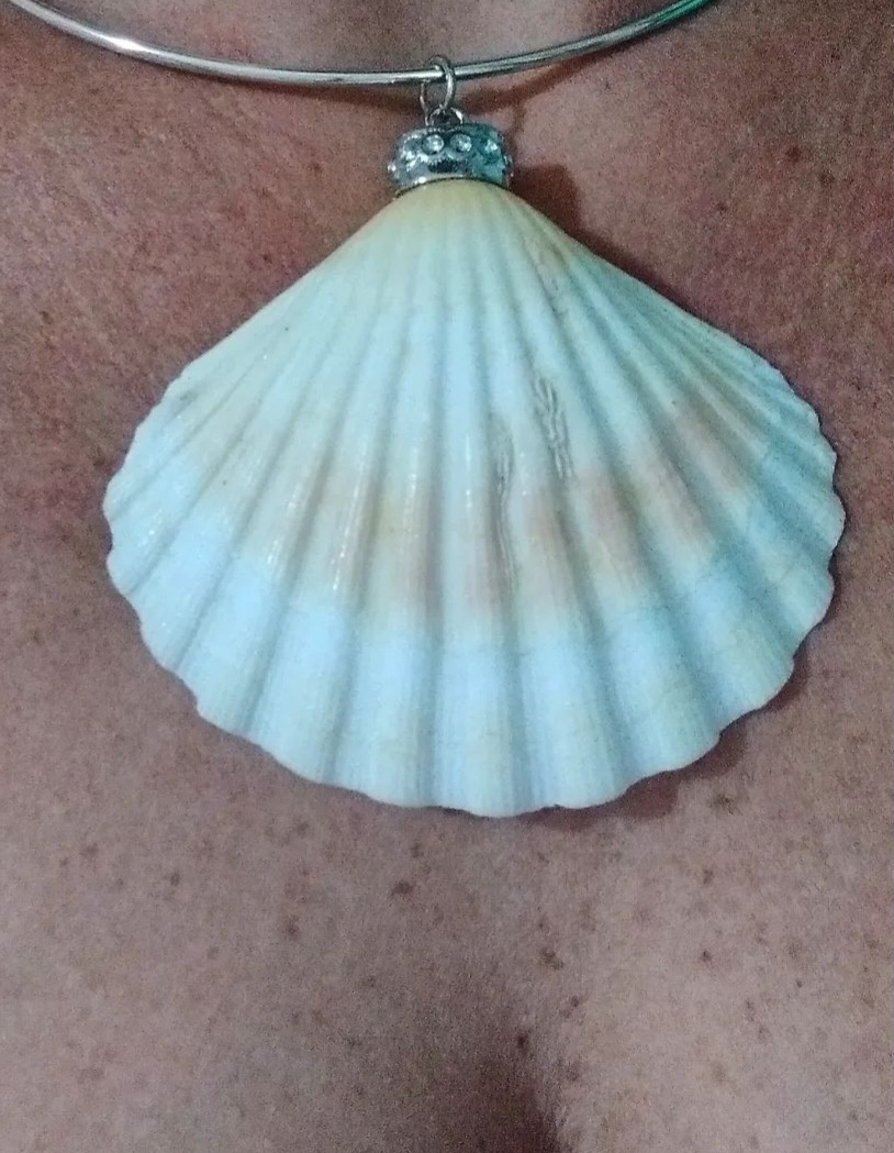 Colar aro maxi concha shell - DonaArte