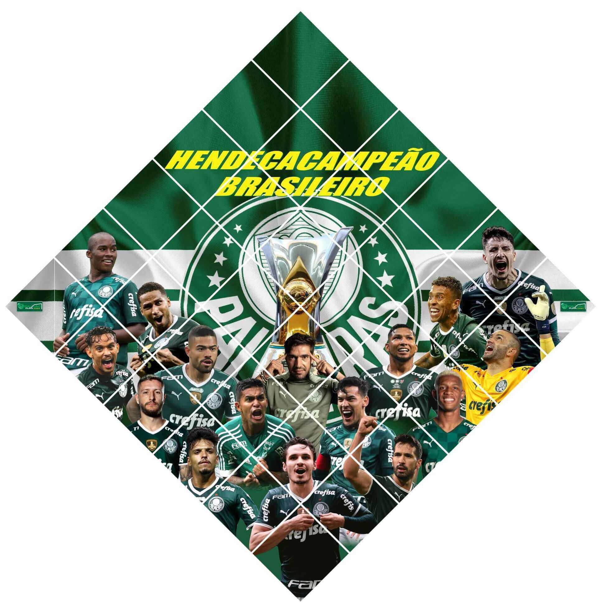 Palmeiras - Primeiro e Único Hendecacampeão Brasileiro