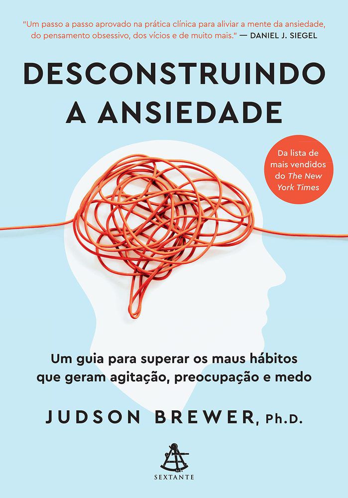 Desmontando a ansiedade: Jogos e dicas para vencer os maus hábitos e  dominar as apreensões e os medos.