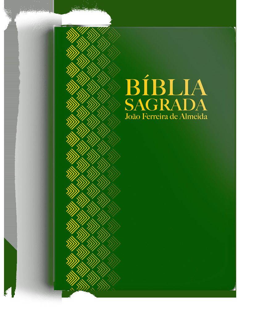 biblia sagrada e curso completo de latim