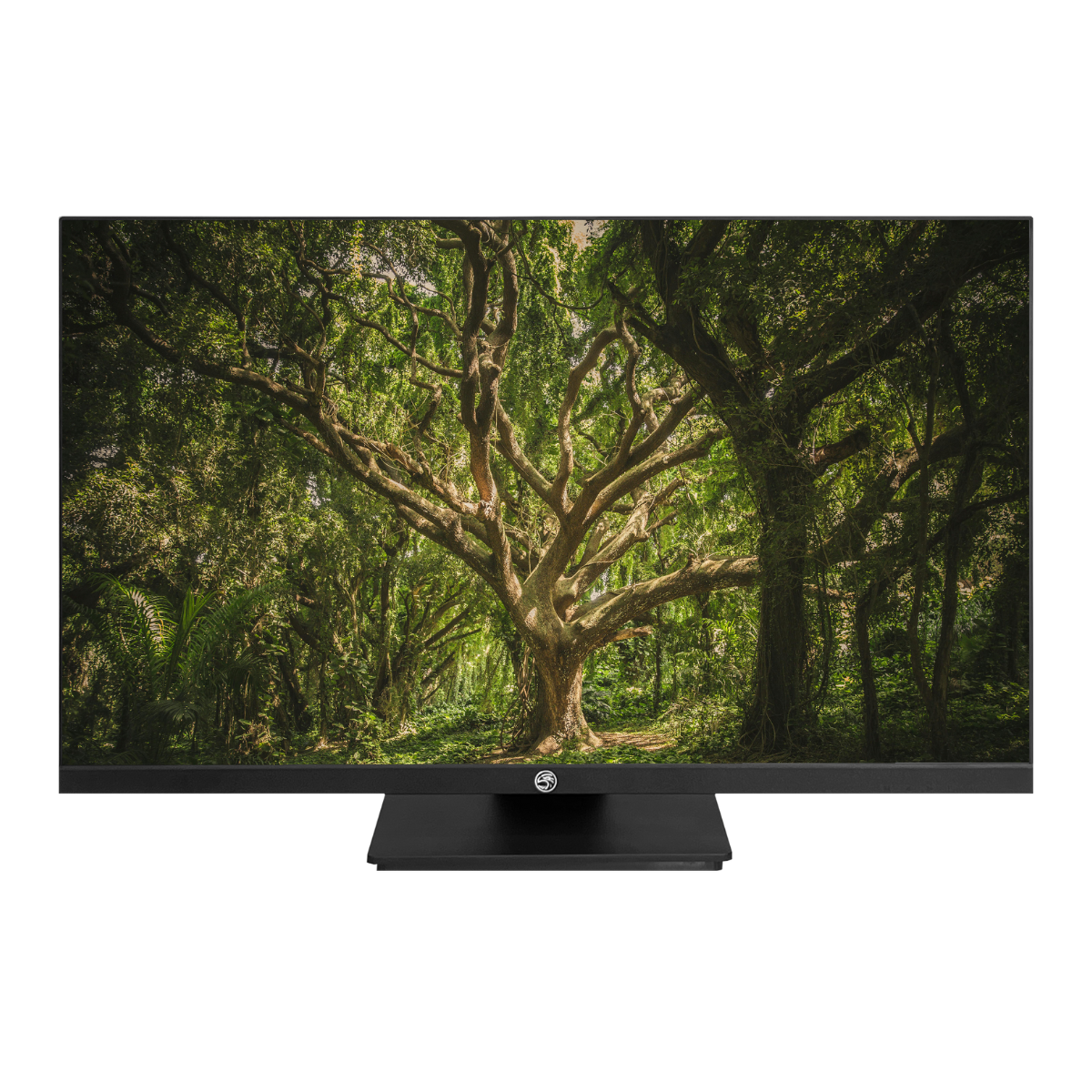 MONITOR LED 23.8 BRAZILPC FRAMELESS ANTIRREFLEXO BPC24SADP-100 FHD - GPJ