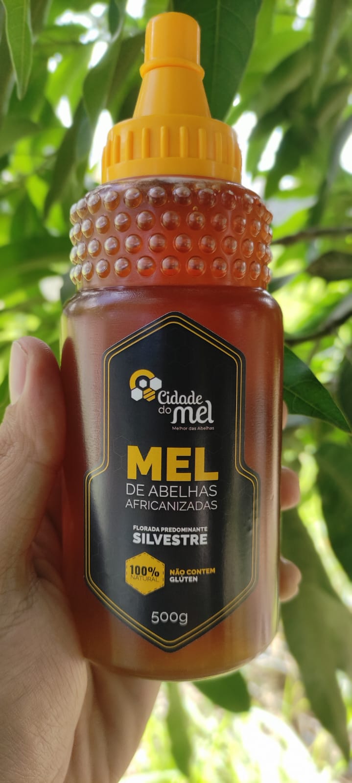 Favo de Mel - 500g  Cidade das Abelhas