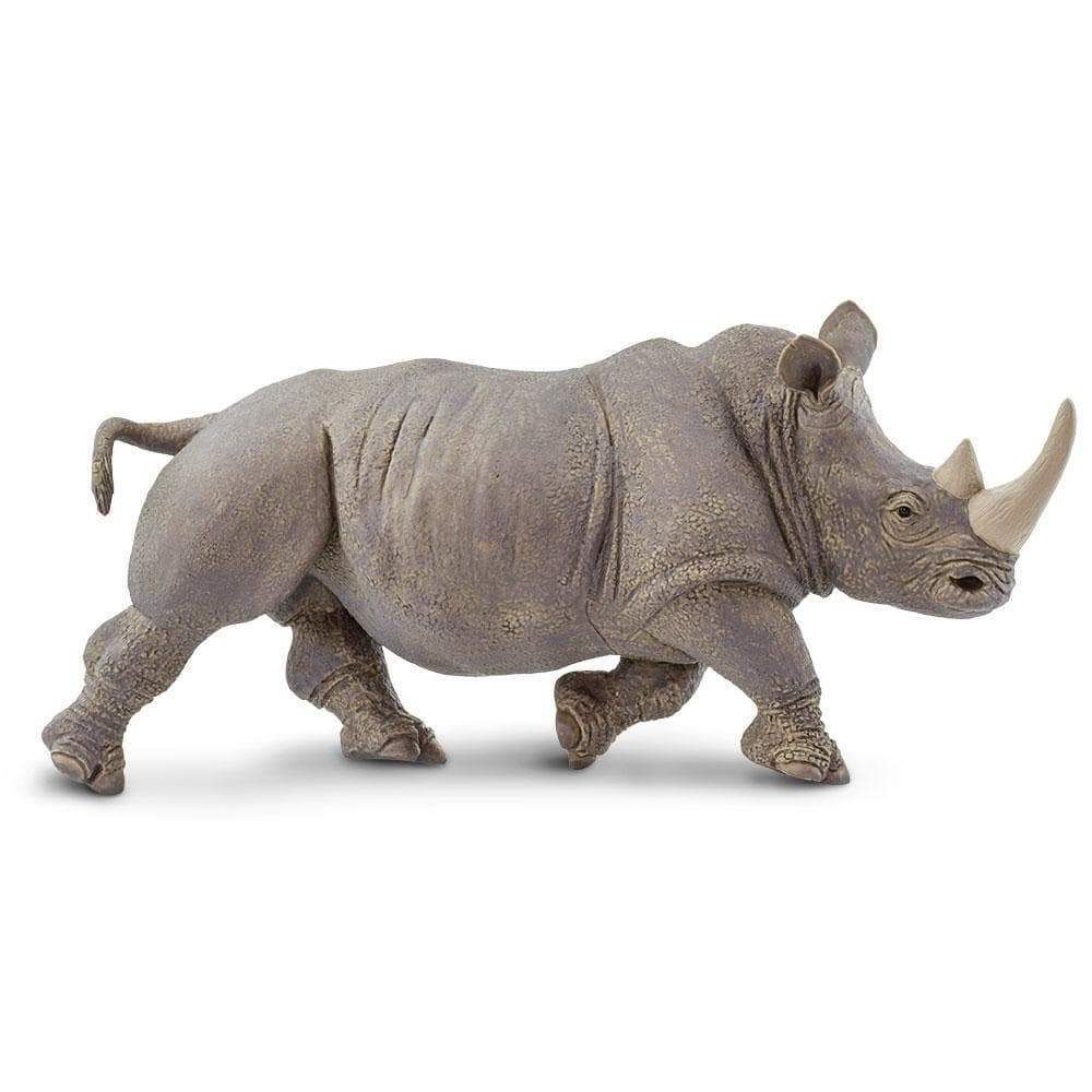 Safari Ltd Wild Safari - Statuetta Rinoceronte Bianco 270229 - Modello Realistico 14,6 Cm Per Gioco Educativo E Collezione - 5
