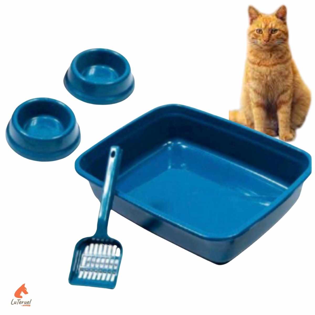 Qual a melhor caixa de areia para gato? 