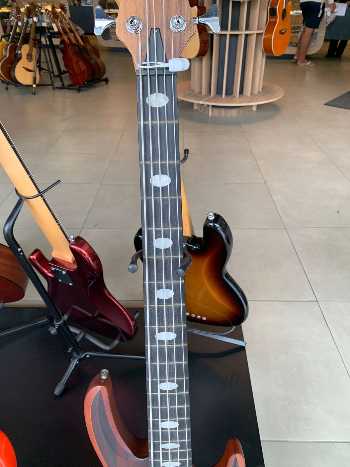 PHOENIX BAIXO 5 CORD BS-5 ATIVO SAPELE (G) (OUTLET) - Home