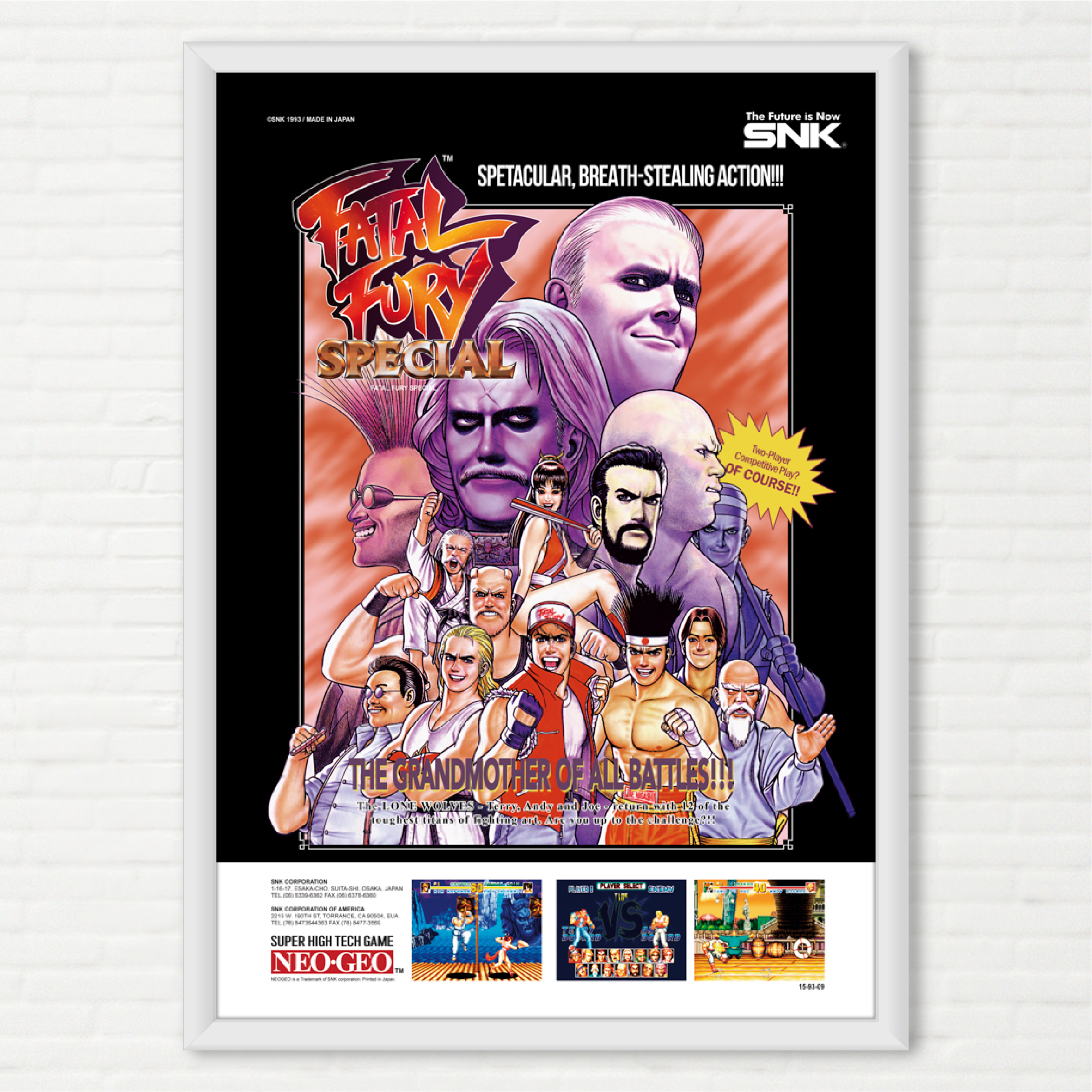 Quadro Fatal Fury Special - Pôster Arcade SNK - Final Frame