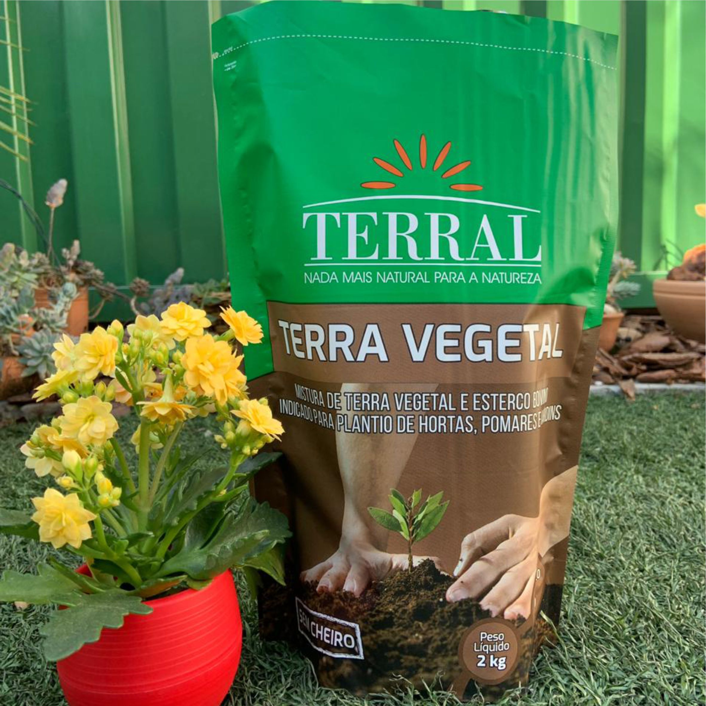 Terra Vegetal 2kg - Solo Enriquecido e Pronto para Plantio - JF ...