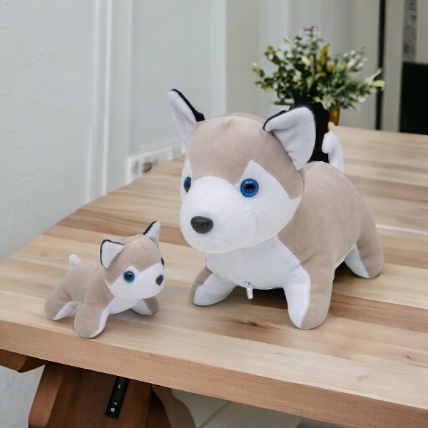 Husky Grávida Com 1 Filhote