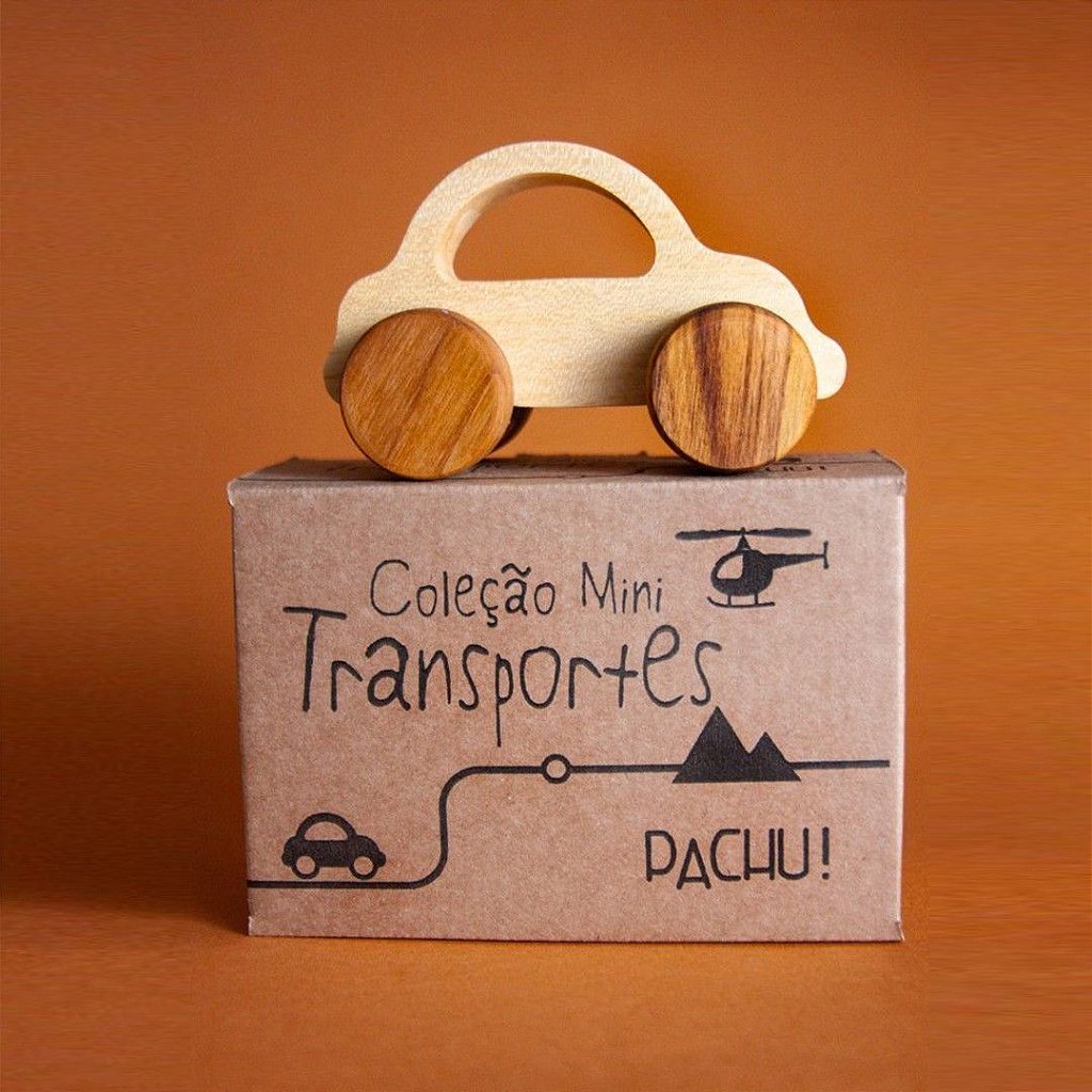 Mini Transporte Beetle - Pachu