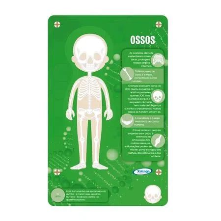 Steam Corpo Humano