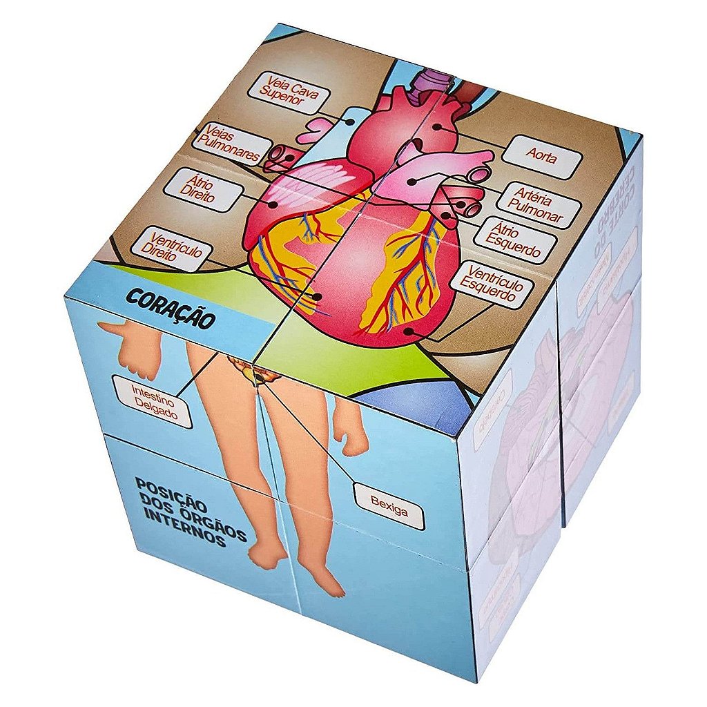 Steam Cubo Corpo Humano