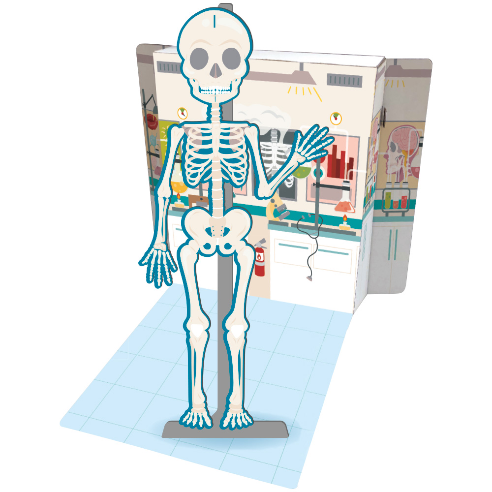 BOX de Aprendizagem - Grandes Ideias: Genial Corpo Humano