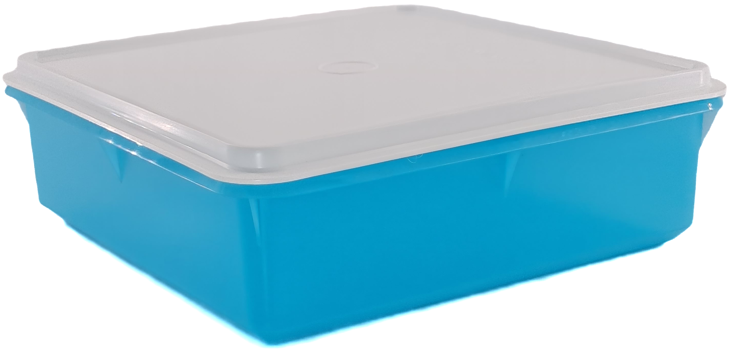 Tupperware Caixa Versátil 2,5L Pacifico # - Utensílios Brasil