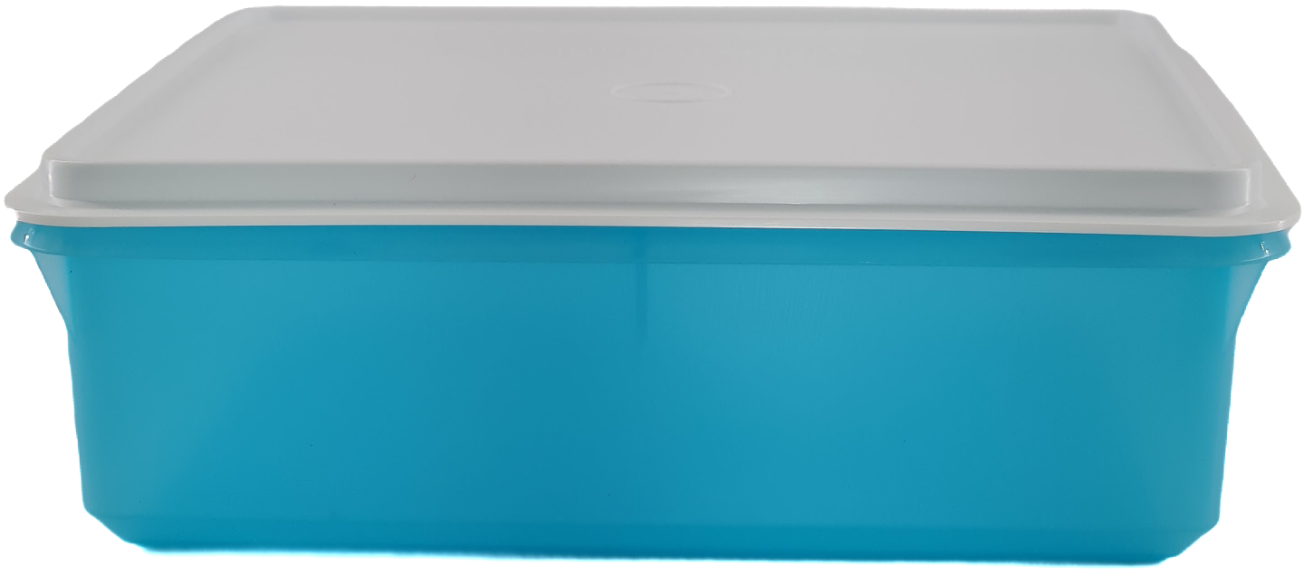 新品未使用！Tupperware 食品保存容器 水色 Tupperware Caixa Versátil 2,5L Pacifico # - Utensílios Brasil