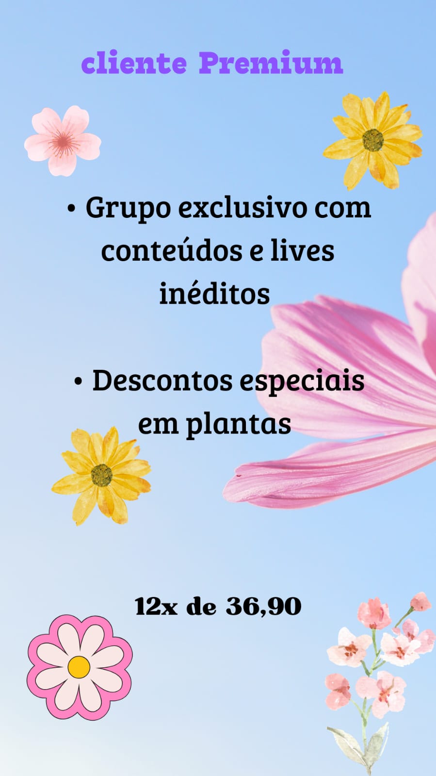 cursos-orquideas-plantas-flores-orquid-rio-tradi-o