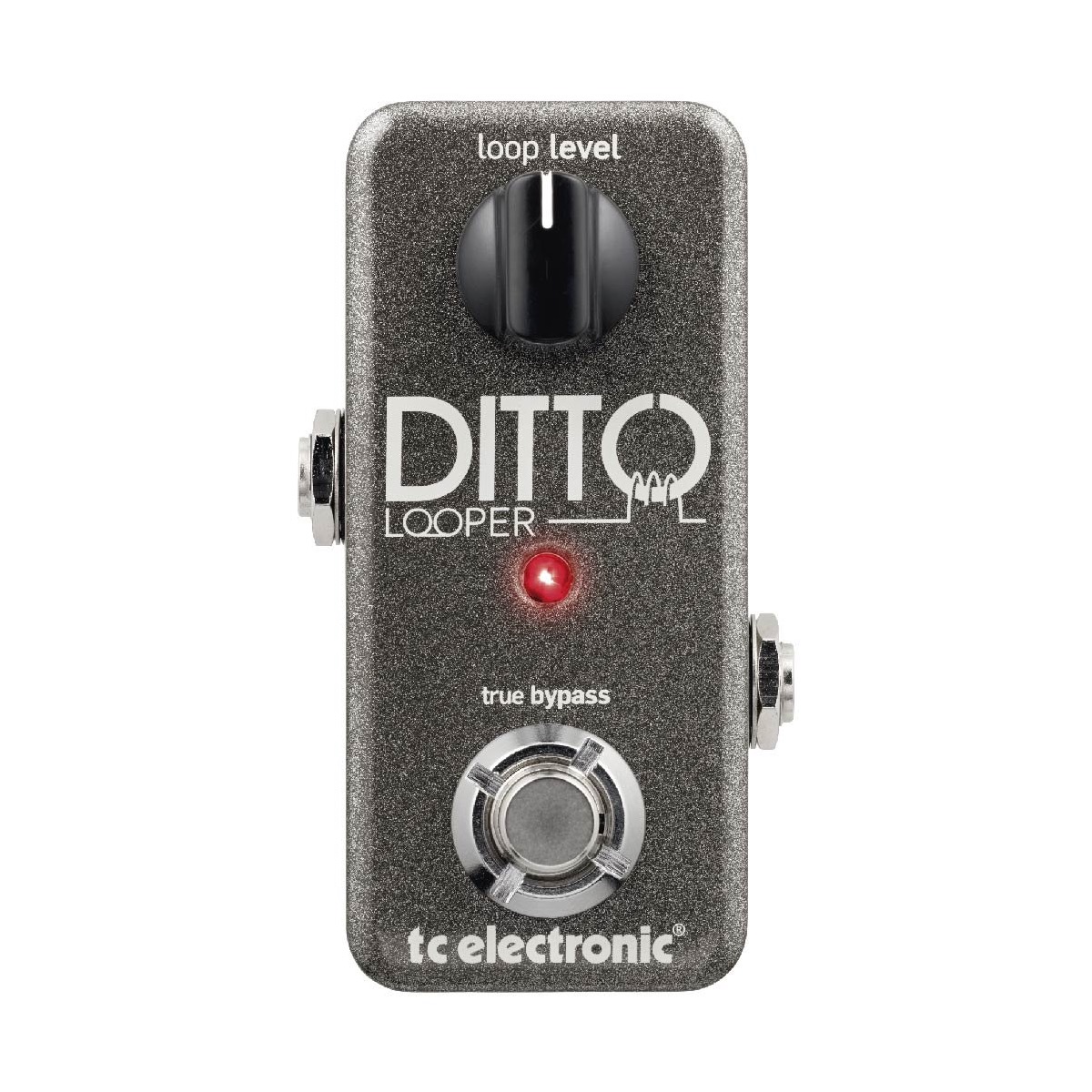 最適な価格 para Efeito de Pedal Guitarra Ditto Electronic TC Baixo e ギター