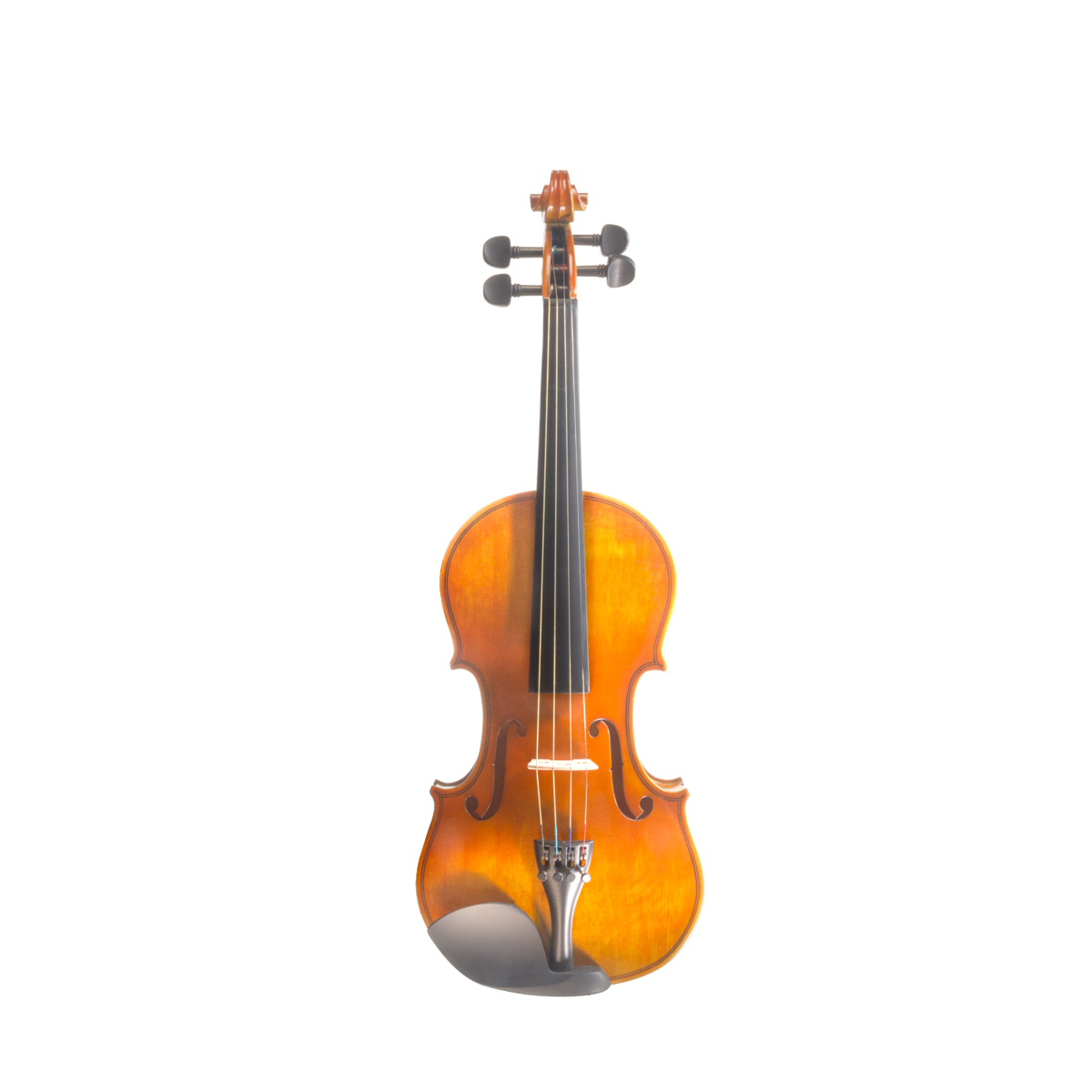 ペリカン BACCI MARLEO Ⅴ STRINGS 34 Bacci Marleo V String 34” Blue Capri Passive Bass [New] - Bella