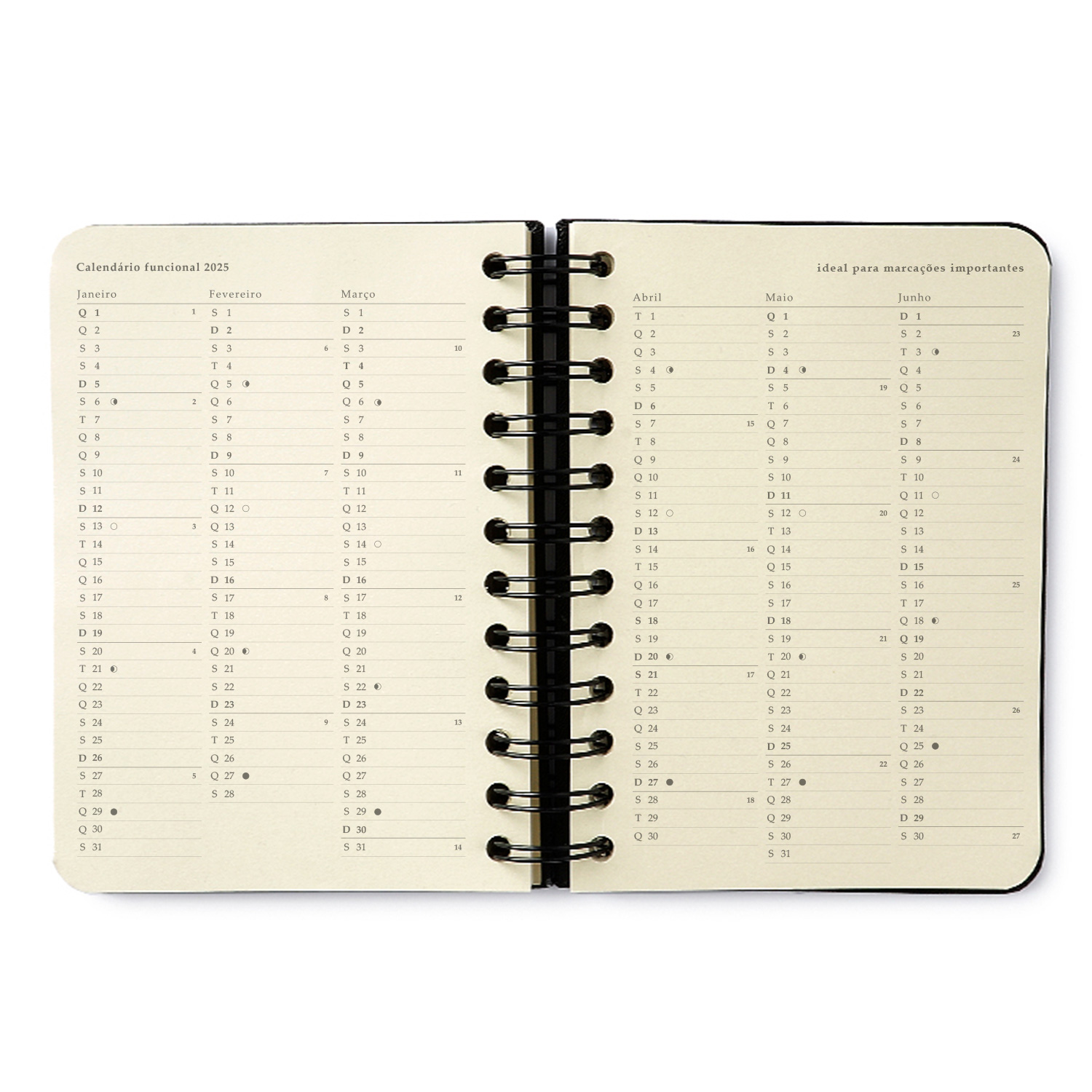 Agenda Planner Cicero Wireo 2025 Clássica Diária 11,5x16 Verde Oliva