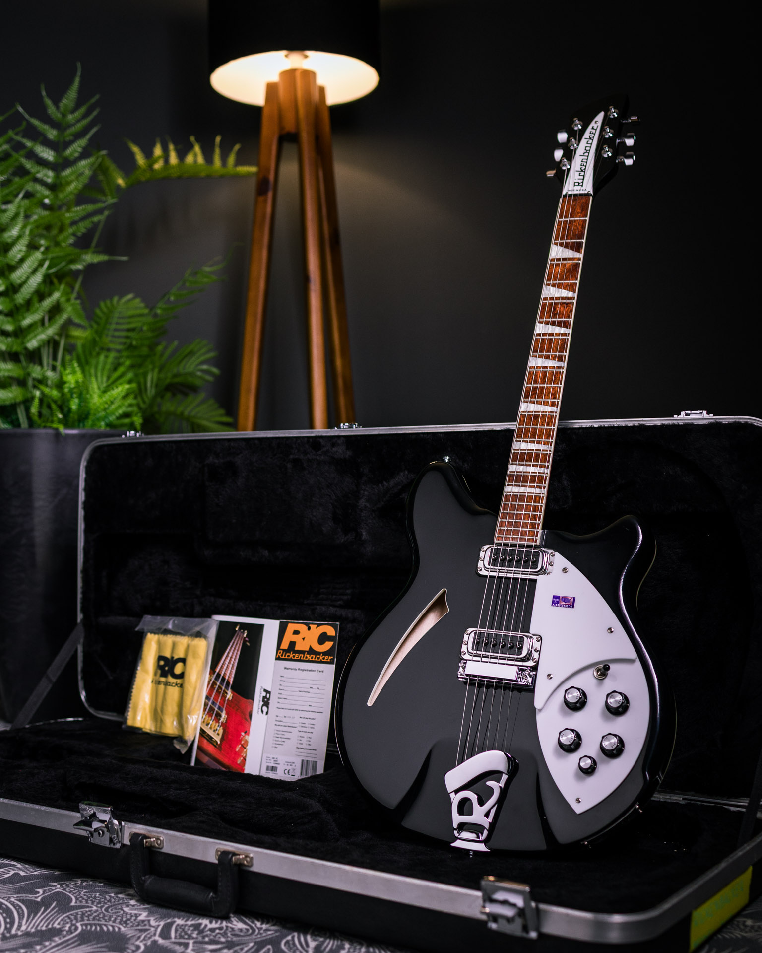Guitarra Rickenbacker Model 360 - The Tone Boutique