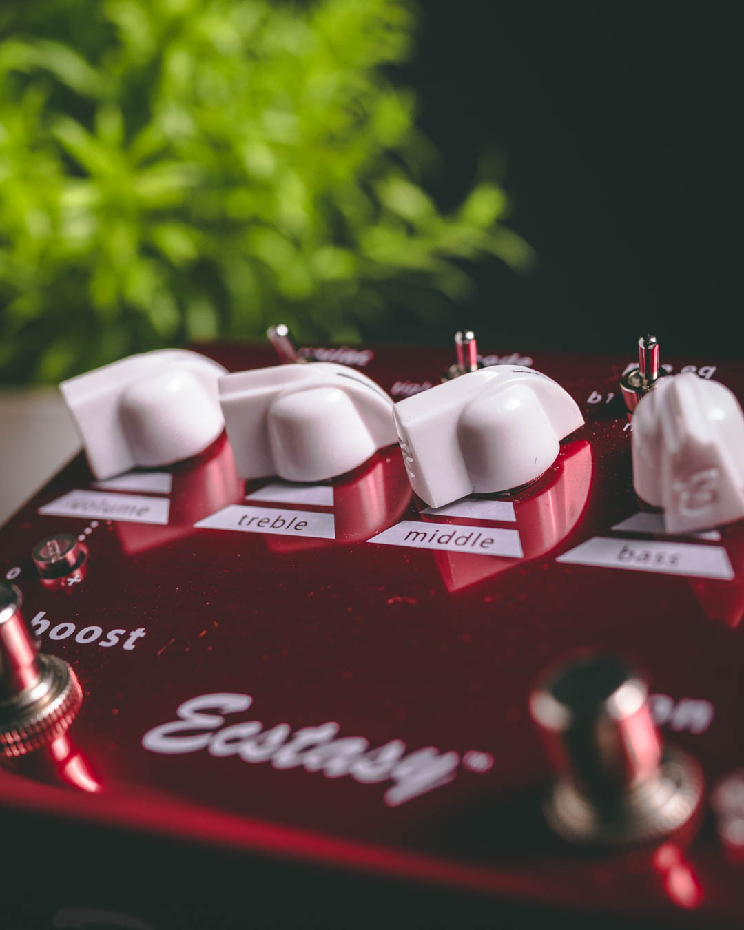 Bogner Ecstasy RED - Produto Usado - The Tone Boutique