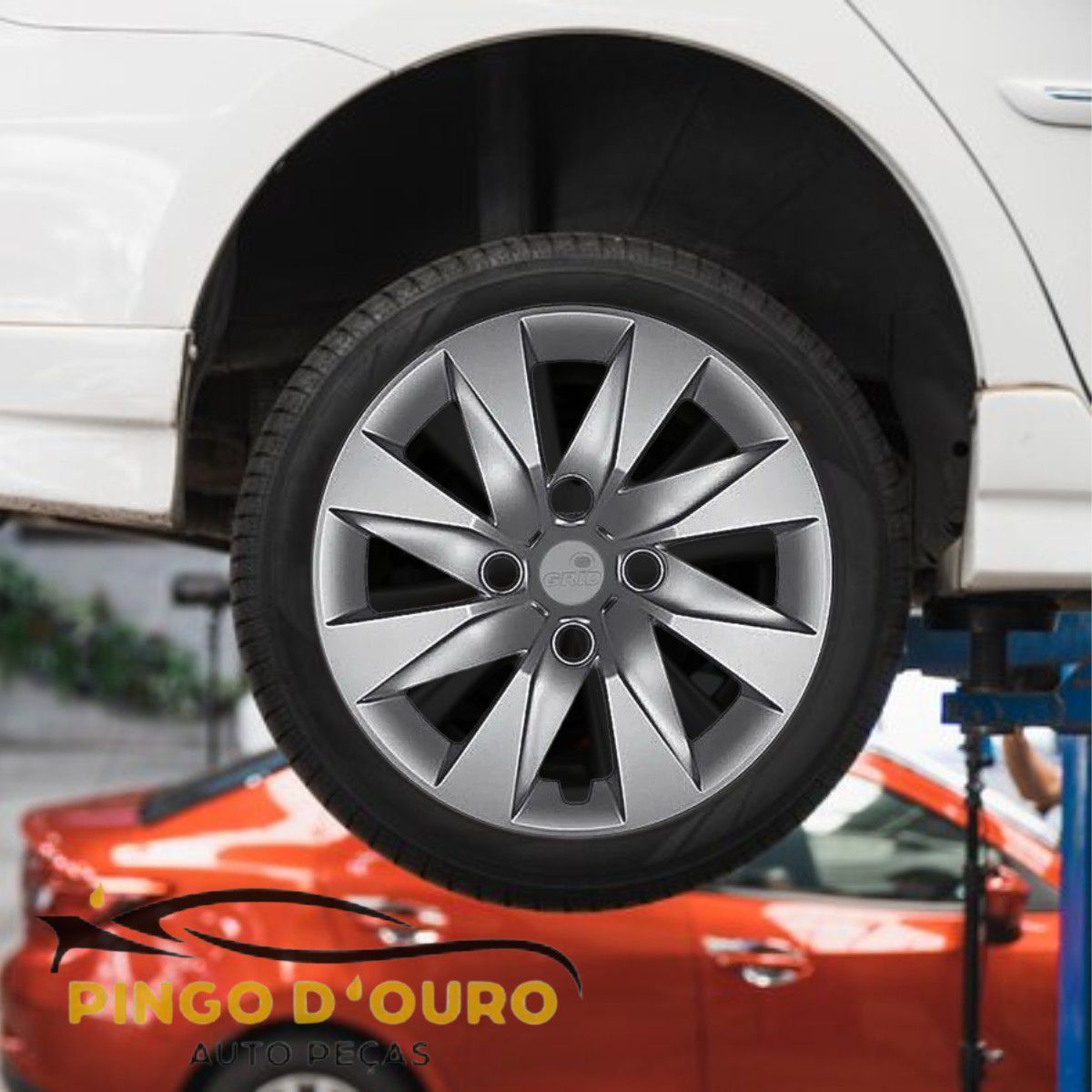 Calota Aro 13 Parafuso Grid 196CB-PTA-U - Auto Peças Pingo D' ouro