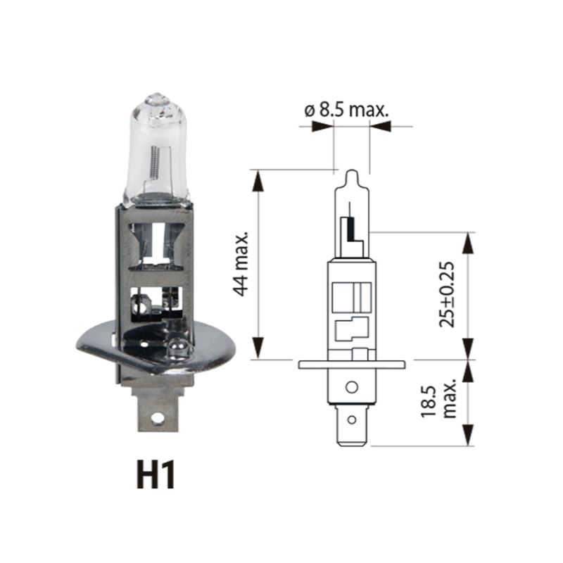 H1 Long Life Lampadina Singola per luci auto 12V 55W P14,5s