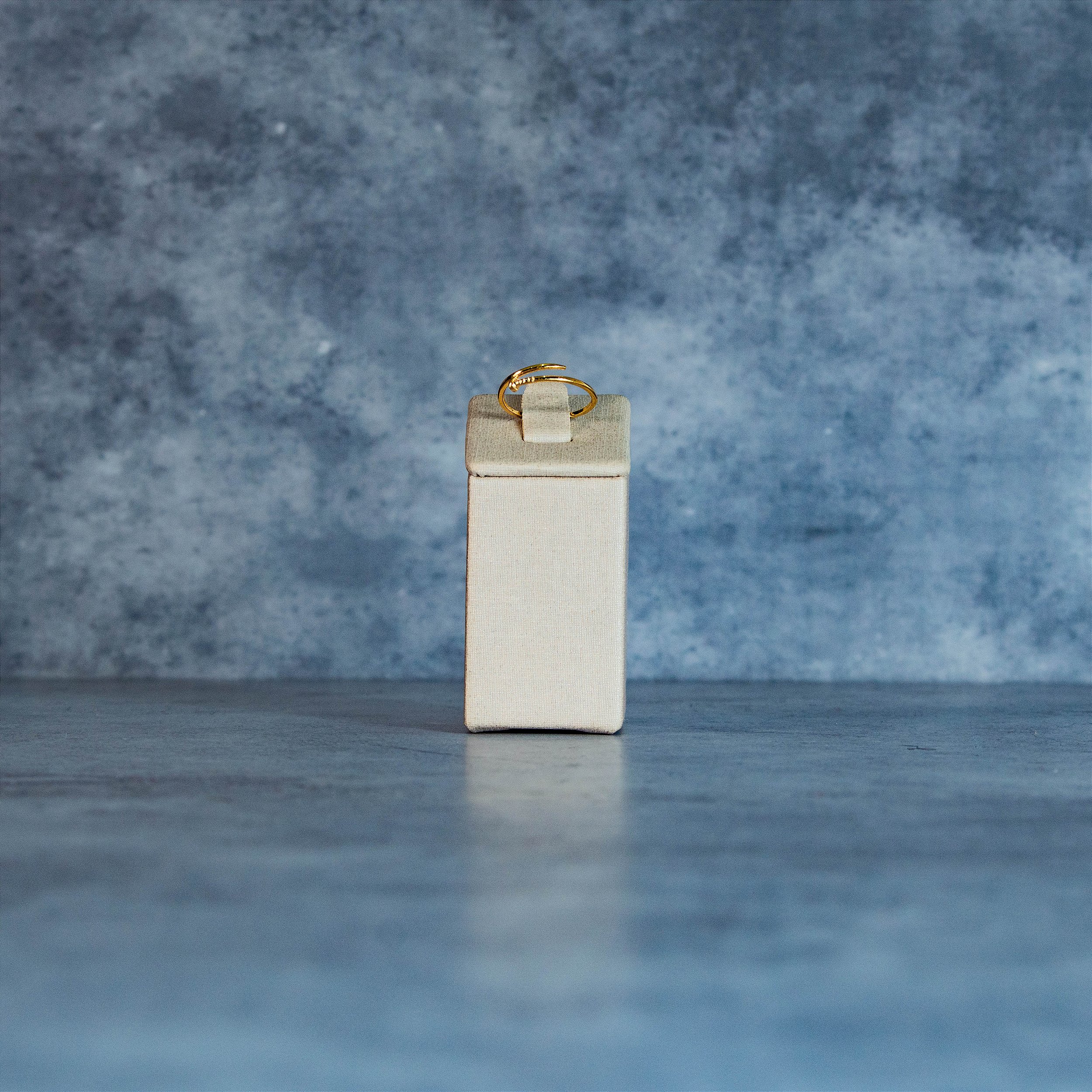 Anel Cartagena - Danfinity