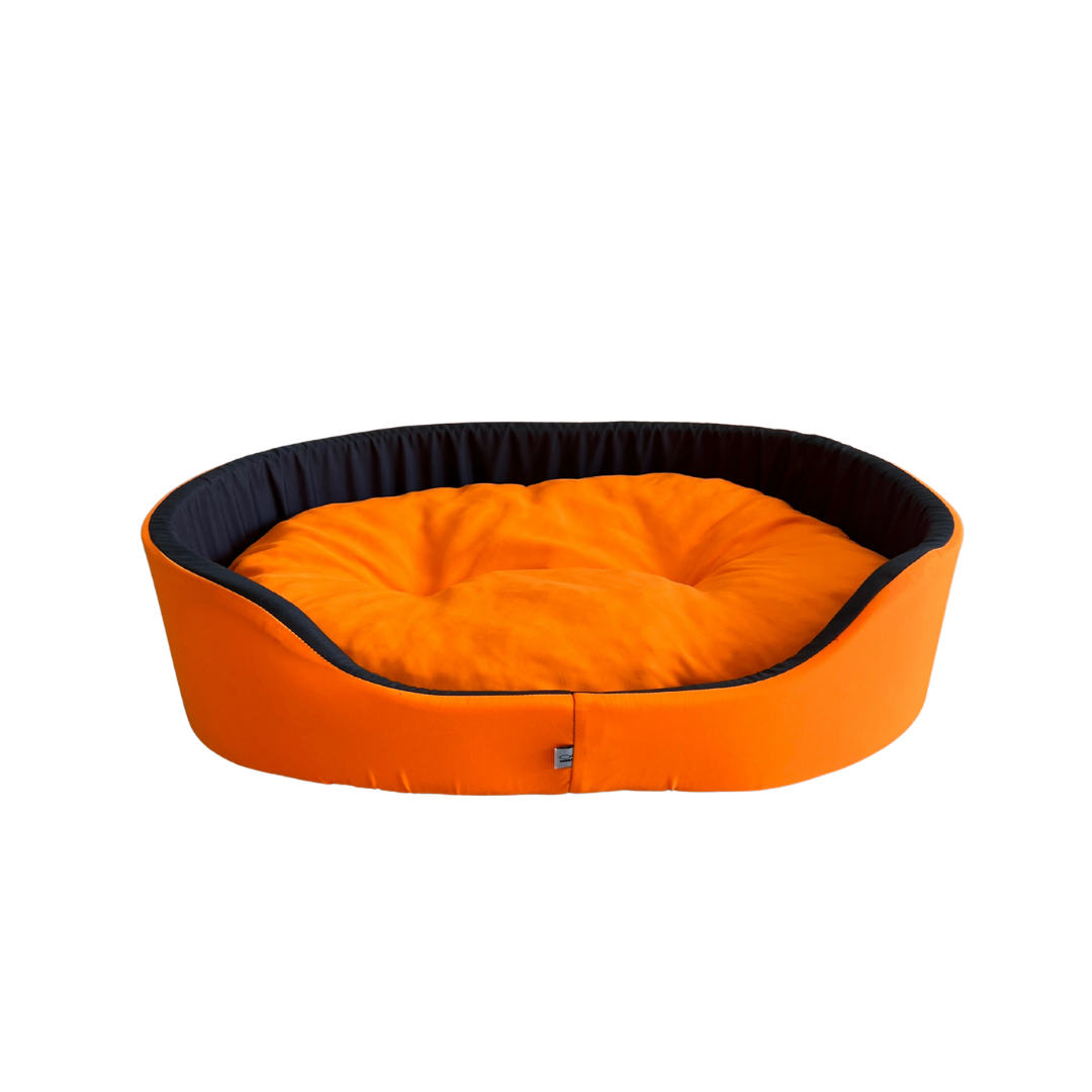 Cama Europa Neon Para Cachorro | Confortável, Colorida e