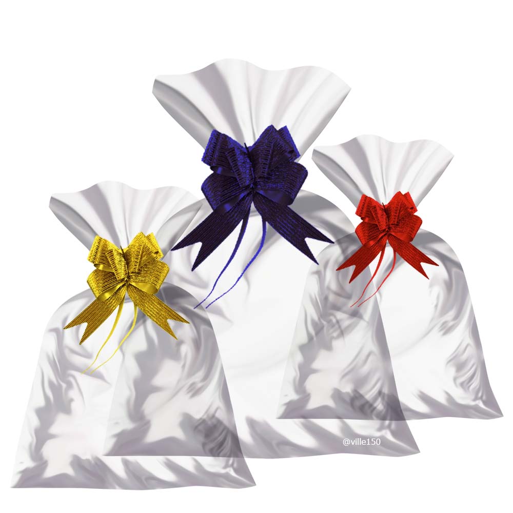 Saco Transparente 25x35cm Incolor - pacote com 50 unidades - ville150 ...