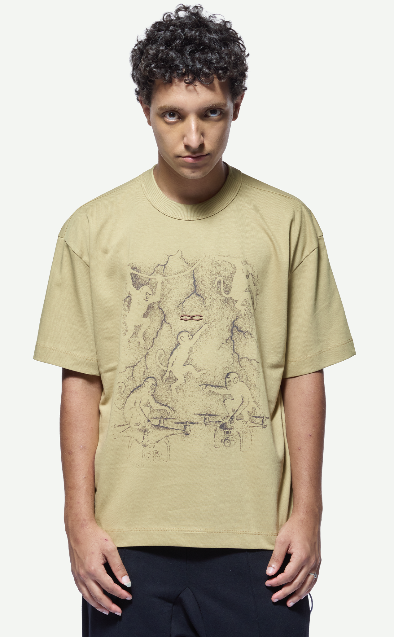 Camiseta Quadro Creations Monkeys Boxy Light Green - TIMELESS