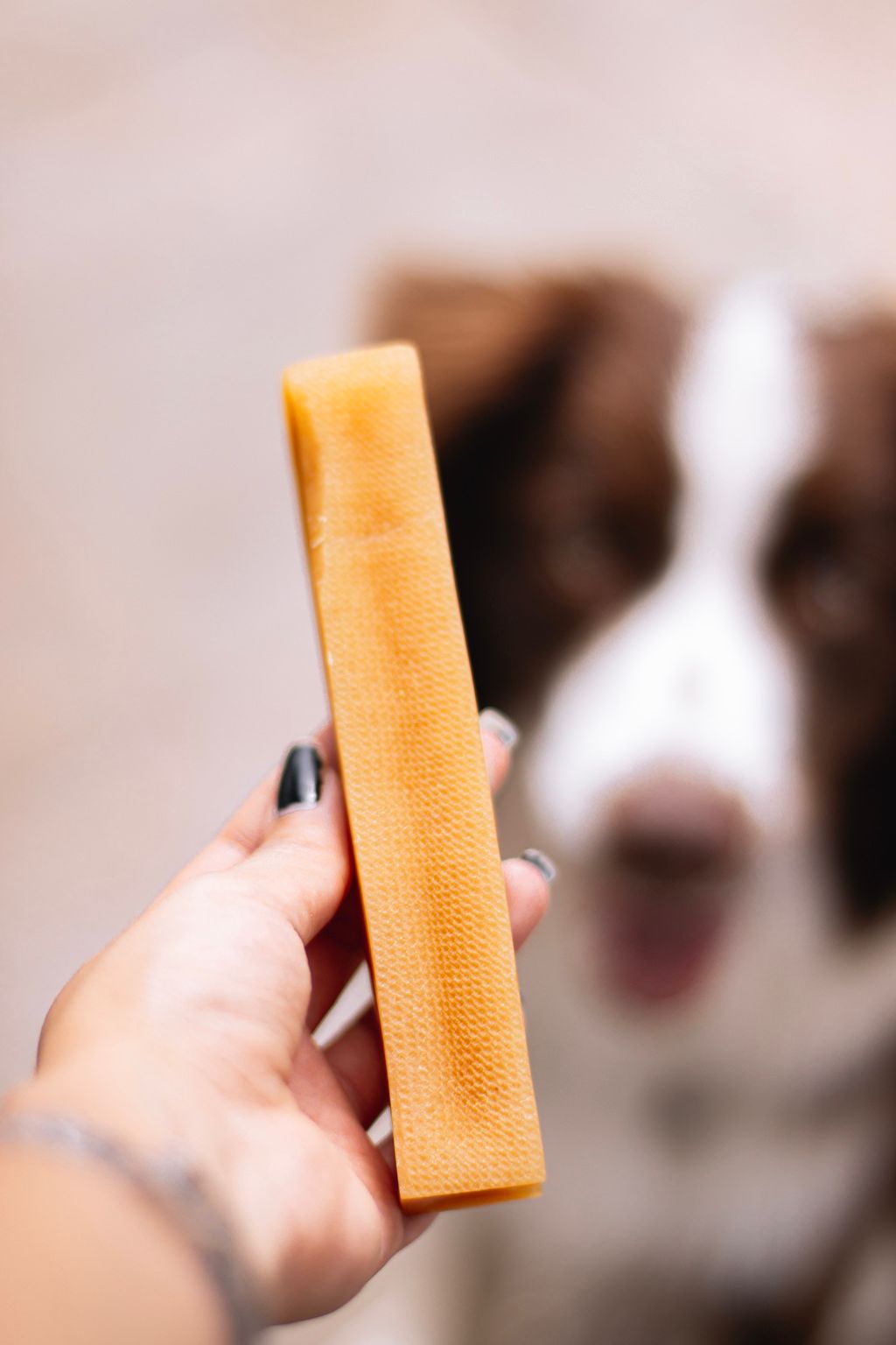 Chhurpi mordedor natural de queijo para cachorro RawRaw - Chiquita