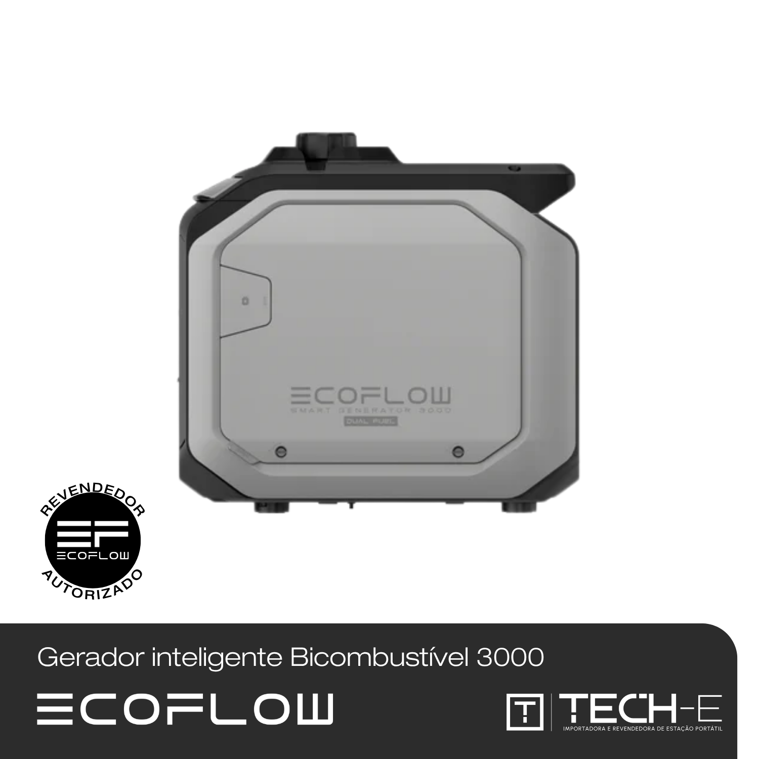 Gerador inteligente Bicombustível 3000 da EcoFlow - EcoFlow | Tech