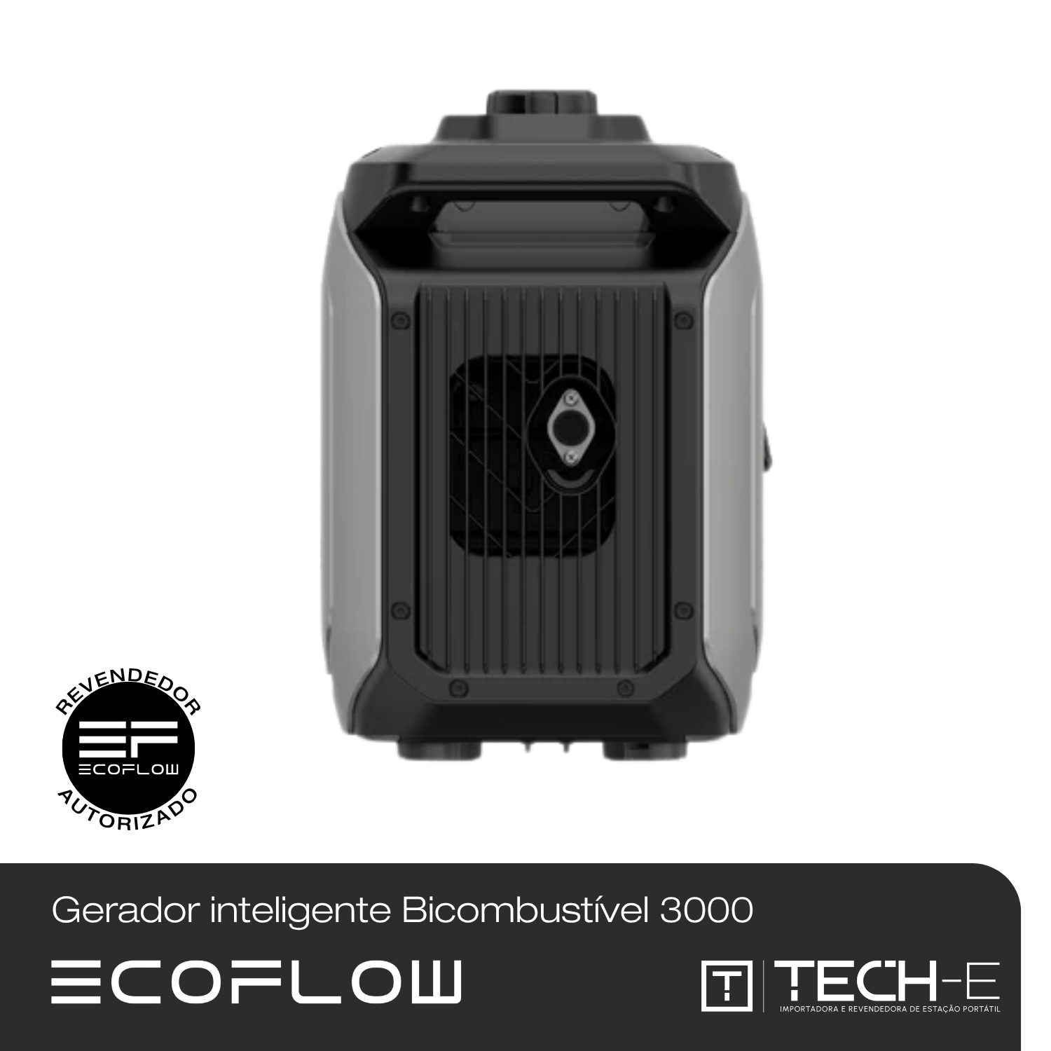 Gerador inteligente Bicombustível 3000 da EcoFlow - EcoFlow | Tech