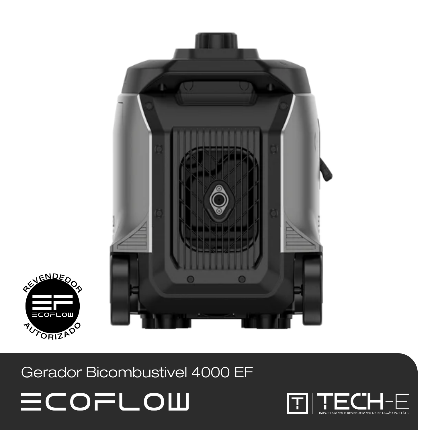 Gerador inteligente Bicombustível 4000 da EcoFlow - EcoFlow | Tech